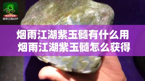 烟雨江湖紫玉髓有什么用 烟雨江湖紫玉髓怎么获得？彻底解析